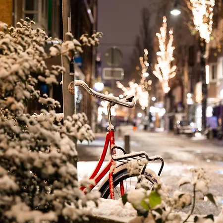 3 House With Garden And Fast Wifi Σπίτι διακοπών Αϊντχόφεν