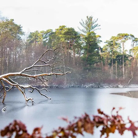 Family In Garden & Kitchen 펜션 에인트호번