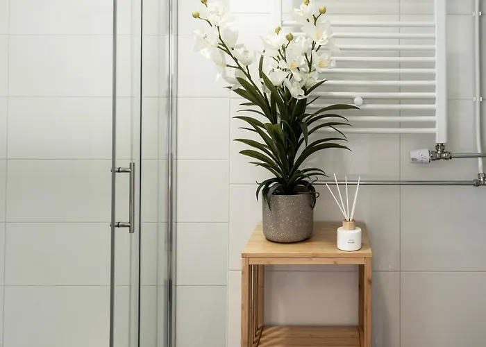 Family In Garden & Kitchen * Eindhoven