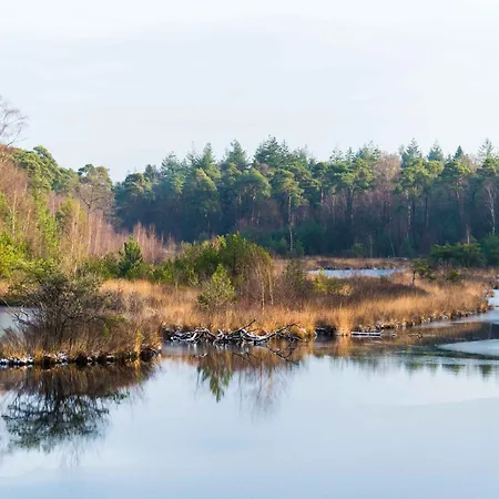 Family In Garden & Kitchen