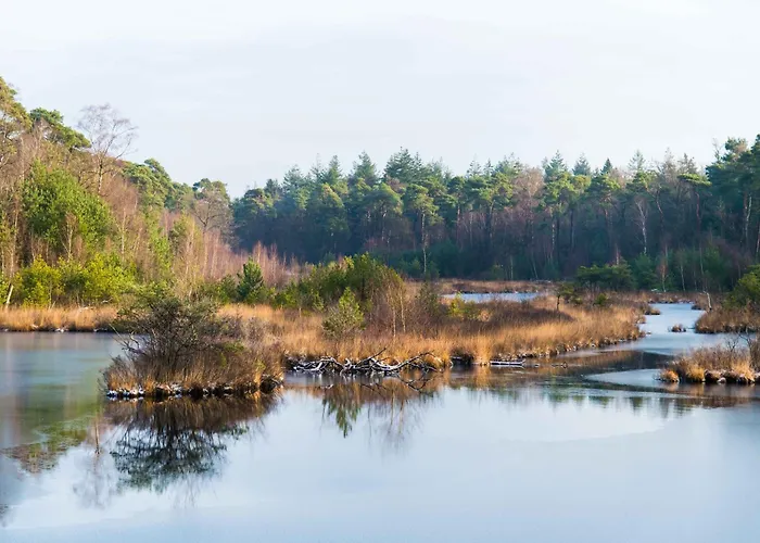 3 House With Garden And Fast Wifi