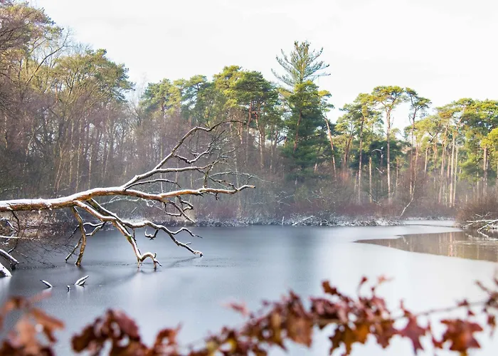Family In Garden & Kitchen 度假居 埃因霍温